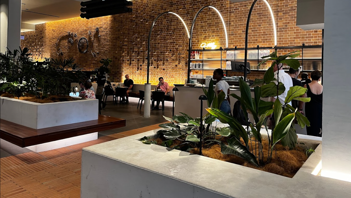 Coffee Anthology Best Cafes to Work From in Brisbane 2