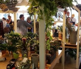 Neighbors of Plainpalais