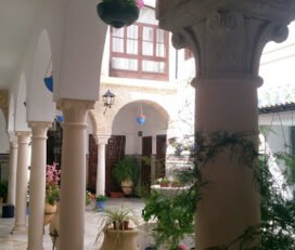 Elpatio coworking