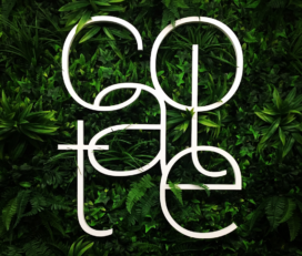 COALTE Coworking